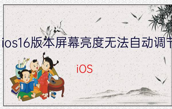 ios16版本屏幕亮度无法自动调节 iOS 16屏幕亮度无法自动调节问题解决